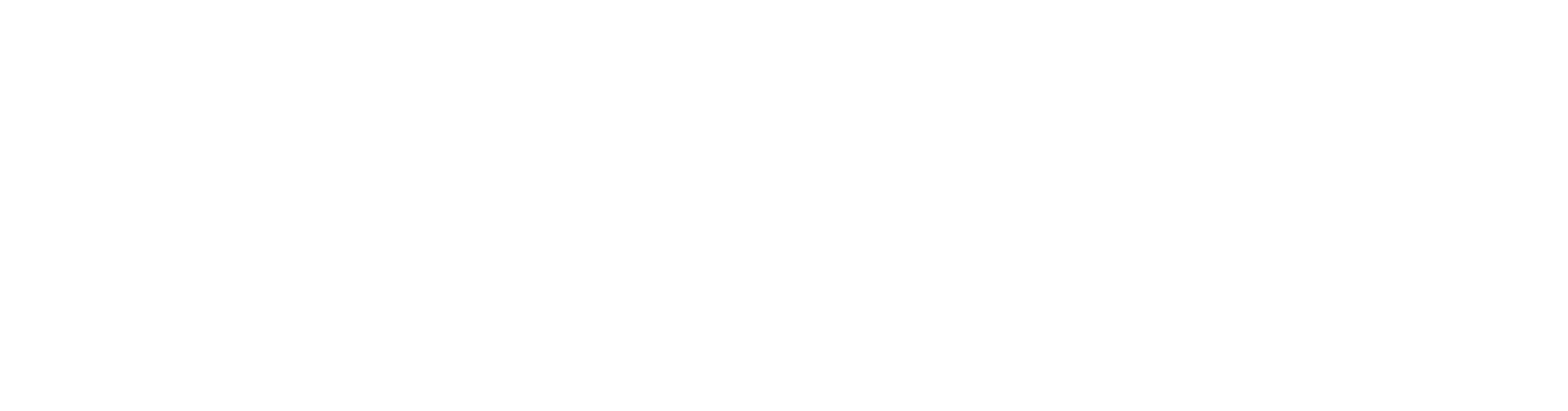 IBH IT-Service Logo weiß